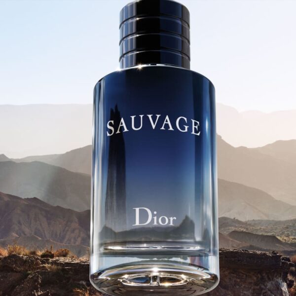 SAUVAGE DIOR EAU DE TOILETTE - PERFUME MASCULINO - Imagem 4