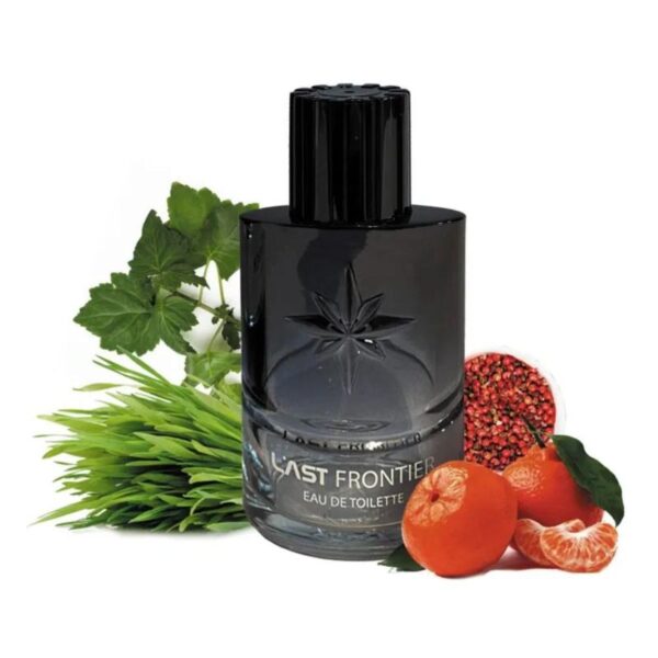 LINN YOUNG LAST FRONTIER EAU DE TOILETTE - PERFUME MASCULINO 100ML - Imagem 4